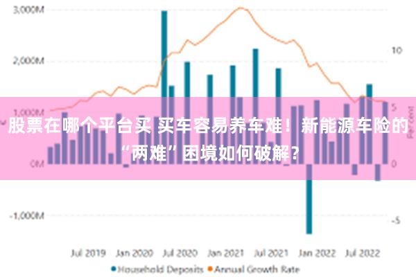 股票在哪个平台买 买车容易养车难！新能源车险的“两难”困境如何破解？