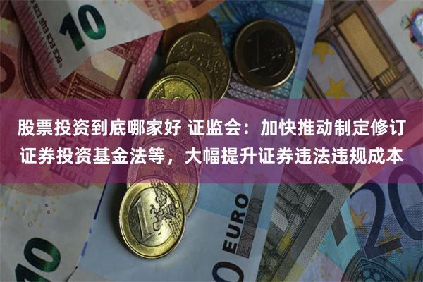 股票投资到底哪家好 证监会：加快推动制定修订证券投资基金法等，大幅提升证券违法违规成本