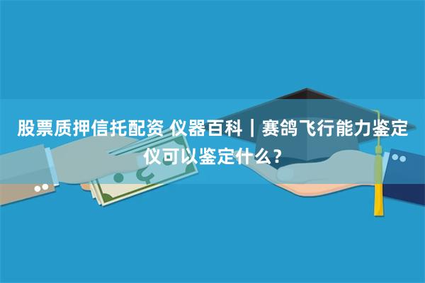 股票质押信托配资 仪器百科｜赛鸽飞行能力鉴定仪可以鉴定什么？