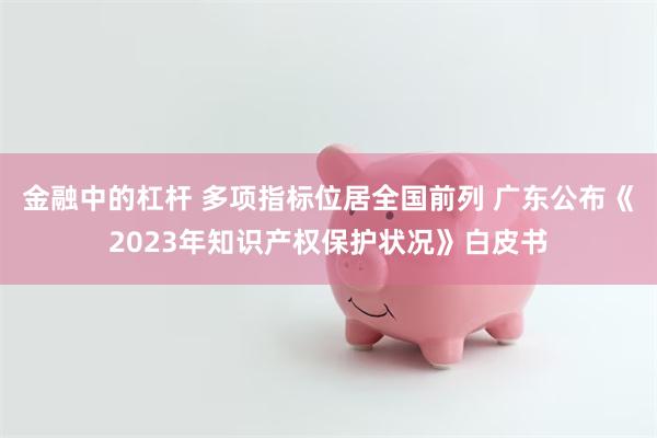 金融中的杠杆 多项指标位居全国前列 广东公布《2023年知识产权保护状况》白皮书