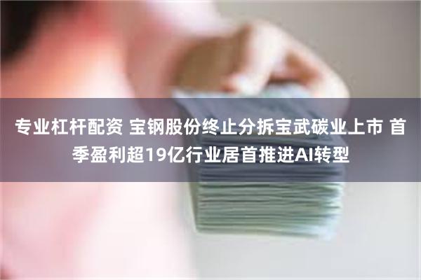 专业杠杆配资 宝钢股份终止分拆宝武碳业上市 首季盈利超19亿行业居首推进AI转型