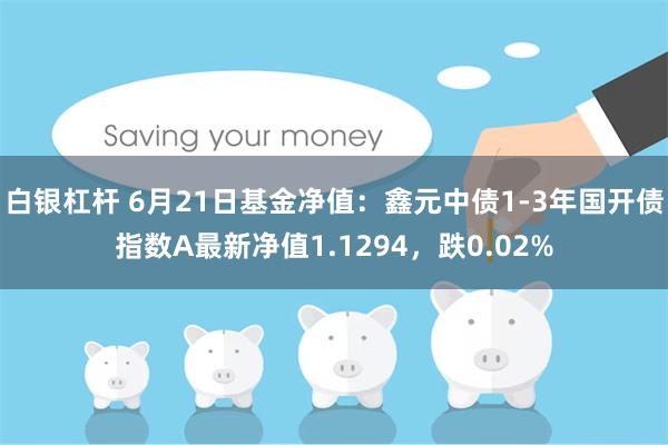 白银杠杆 6月21日基金净值：鑫元中债1-3年国开债指数A最新净值1.1294，跌0.02%