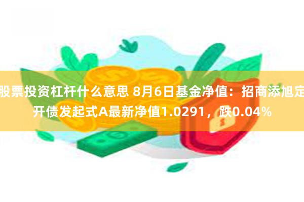 股票投资杠杆什么意思 8月6日基金净值：招商添旭定开债发起式A最新净值1.0291，跌0.04%