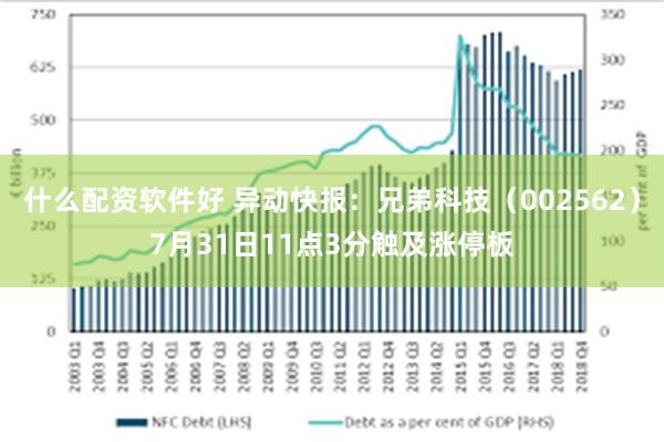 什么配资软件好 异动快报：兄弟科技（002562）7月31日11点3分触及涨停板