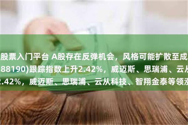 股票入门平台 A股存在反弹机会，风格可能扩散至成长，科创100ETF(588190)跟踪指数上升2.42%，威迈斯、思瑞浦、云从科技、智翔金泰等领涨