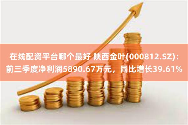 在线配资平台哪个最好 陕西金叶(000812.SZ)：前三季度净利润5890.67万元，同比增长39.61%