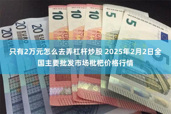 只有2万元怎么去弄杠杆炒股 2025年2月2日全国主要批发市场枇杷价格行情