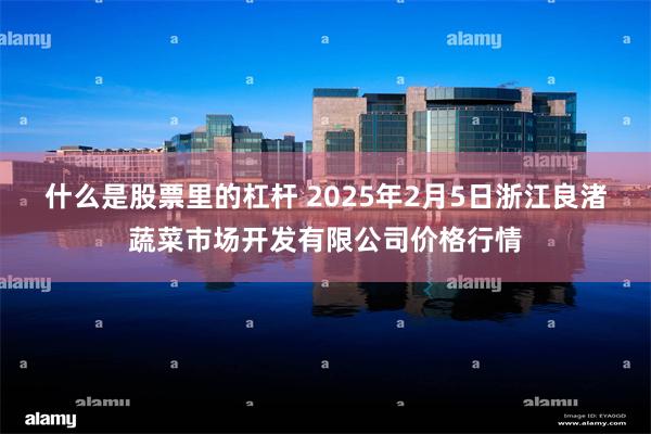 什么是股票里的杠杆 2025年2月5日浙江良渚蔬菜市场开发有限公司价格行情