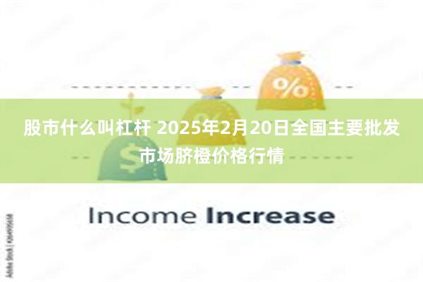 股市什么叫杠杆 2025年2月20日全国主要批发市场脐橙价格行情