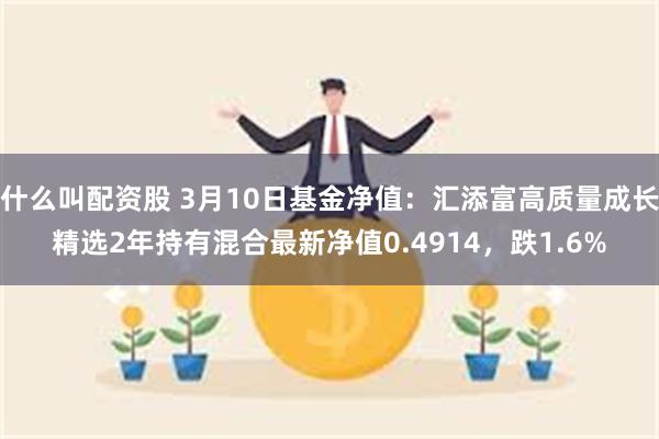 什么叫配资股 3月10日基金净值：汇添富高质量成长精选2年持有混合最新净值0.4914，跌1.6%